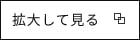 拡大して見る